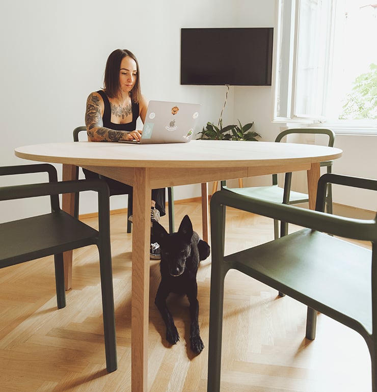Digital Ants office