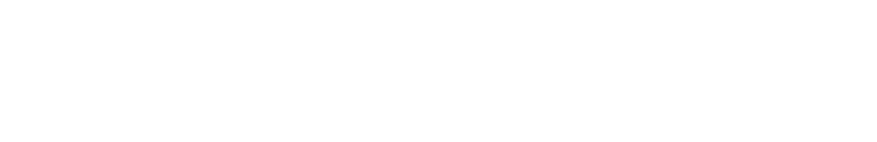Digital Ants